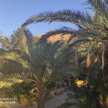 Bar Suite كيبوتس عين غيدي المظهر الخارجي الصورة